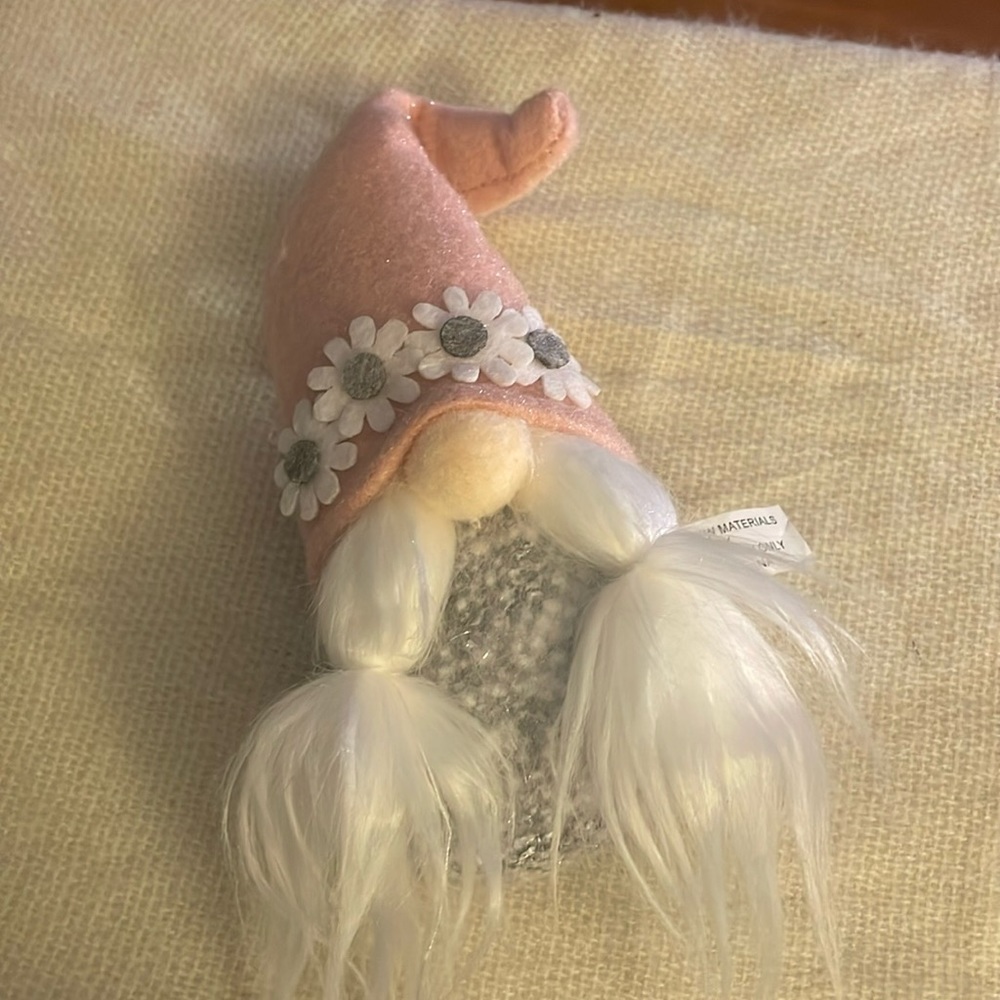 Adorable Gnome